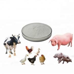 VETERINARY DRUG