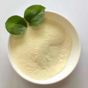 FERTILIZER 