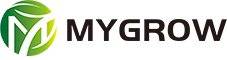 MINGYUE GROUP LTD